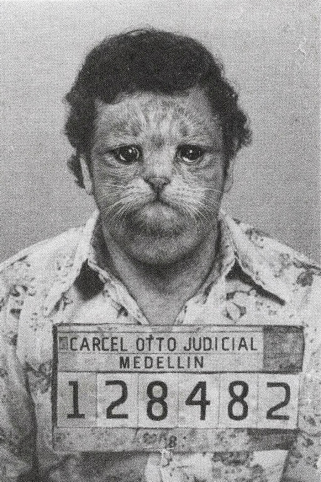 Котопабло Эскобаррр