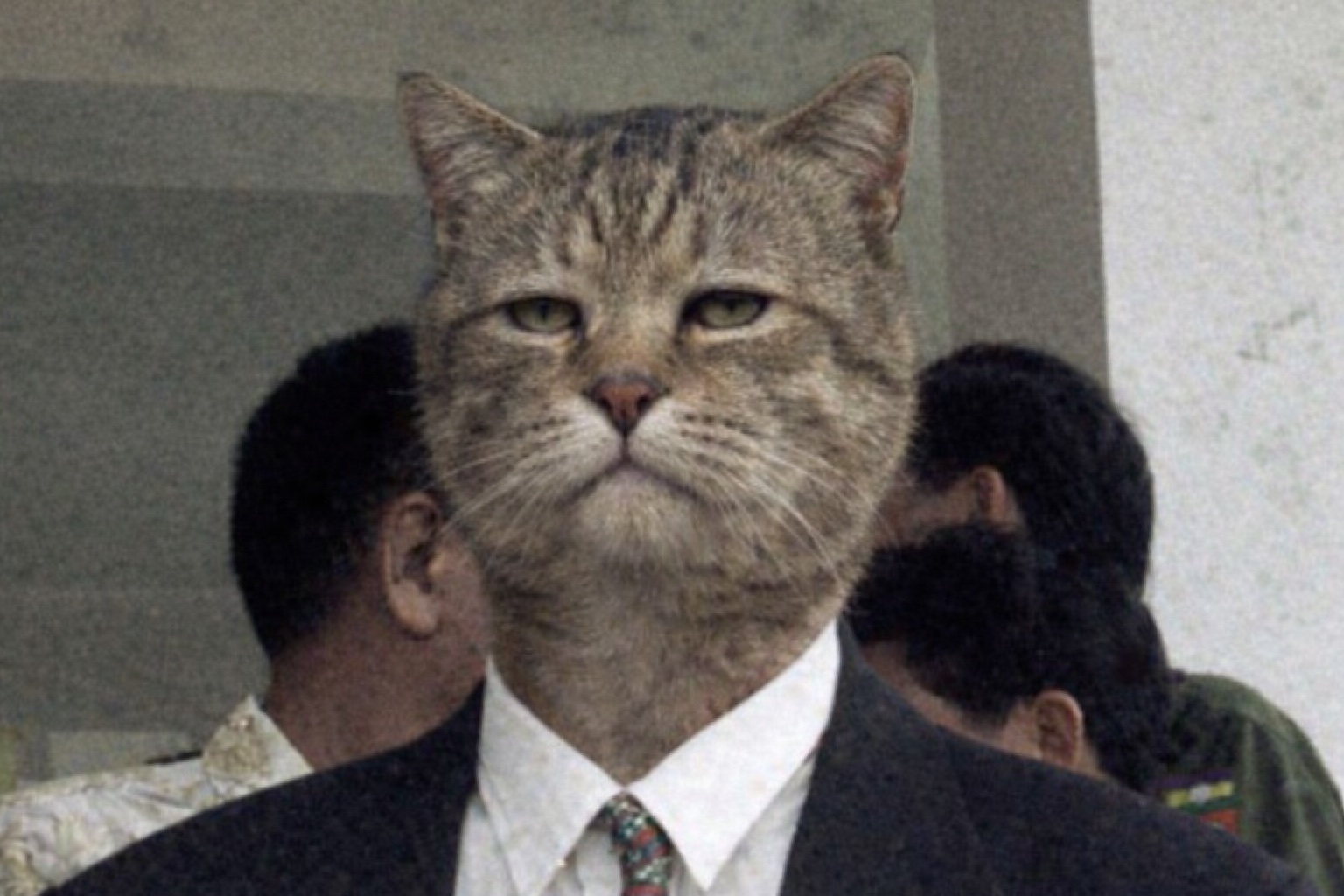 Ло Хсин Хань-Мяунь