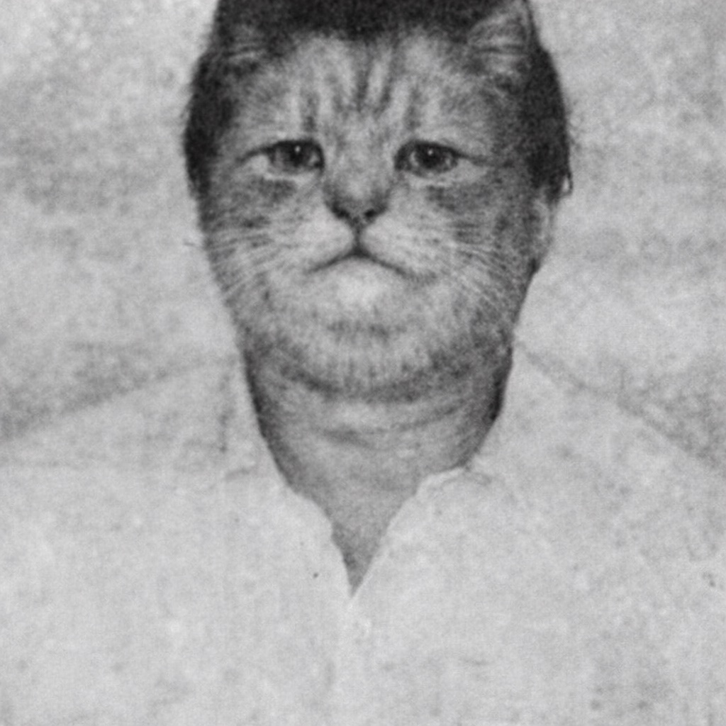 Хорхе Мяучоа