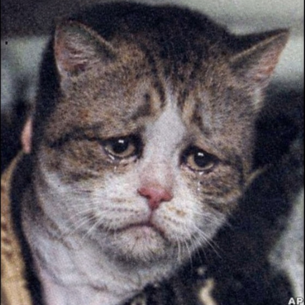 Артуро Мурлтран Лейва