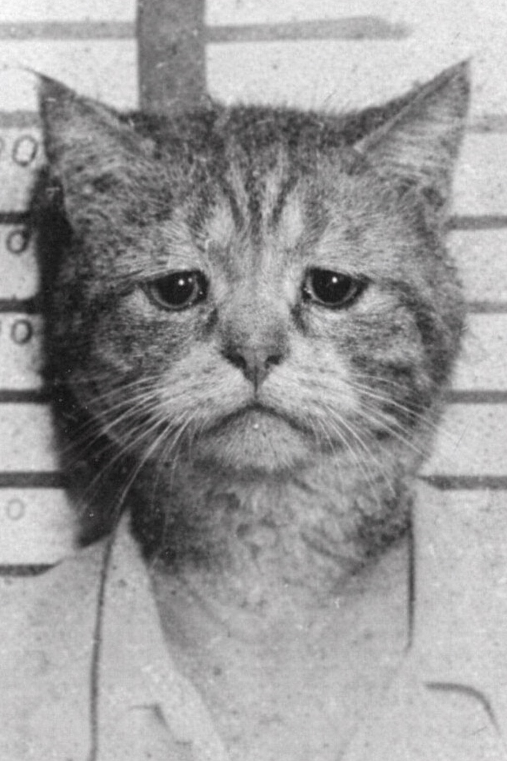 Амяудо Каррильо Фурэнтес